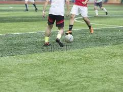 双色神预测,期红球必中,秘选,体彩大发彩票网,体育彩票,大发彩票网,足球彩票,篮球彩票,快三官方网站