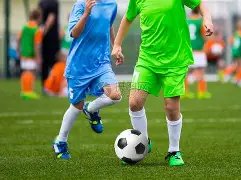 暖阳笑迎蛇,年运,双色球蛇年,体彩大发彩票网,体育彩票,大发彩票网,足球彩票,篮球彩票,快三官方网站