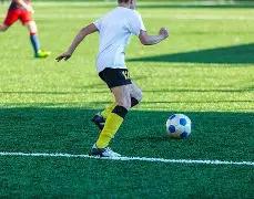 独家揭秘,期双色球龙,头凤尾必中,体彩大发彩票网,体育彩票,大发彩票网,足球彩票,篮球彩票,快三官方网站