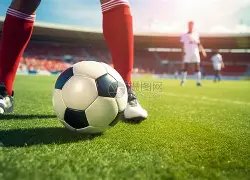 独航彩途,双色球第,期揭秘,体彩大发彩票网,体育彩票,大发彩票网,足球彩票,篮球彩票,快三官方网站