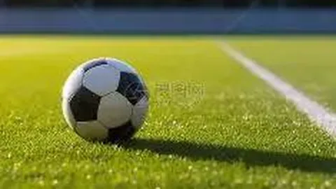 “林书豪37岁结束15载篮球生涯，梦之旅落幕”