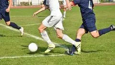 《双色球奇缘：第2026014期独门秘笈，定胆神算揭秘！15号与18号、23号闪耀登场》